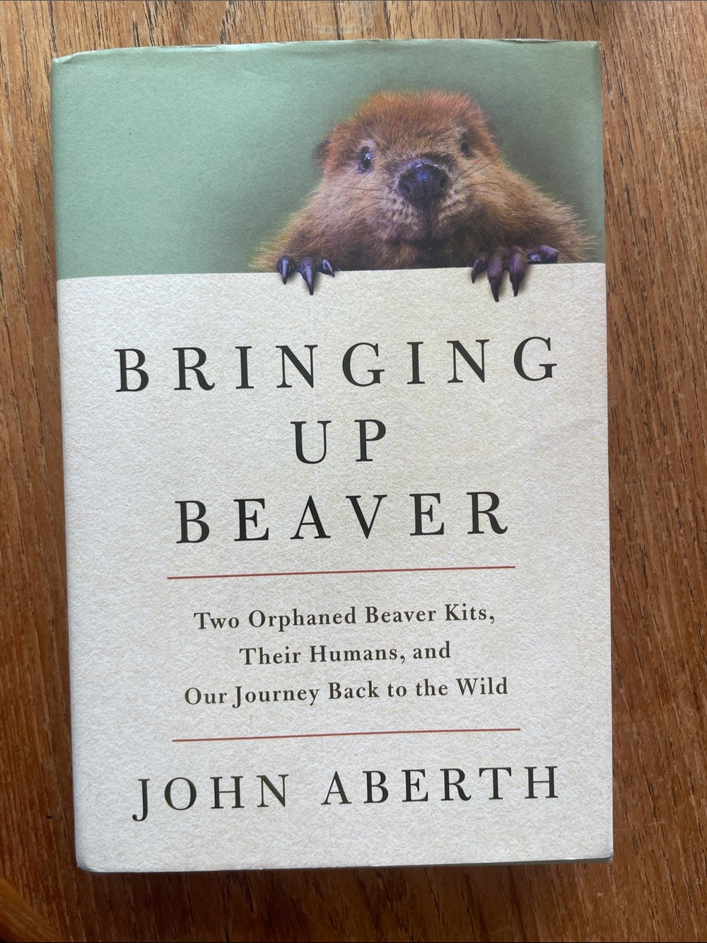 Bringing Up Beaver by John Aberth, Hardcover Book